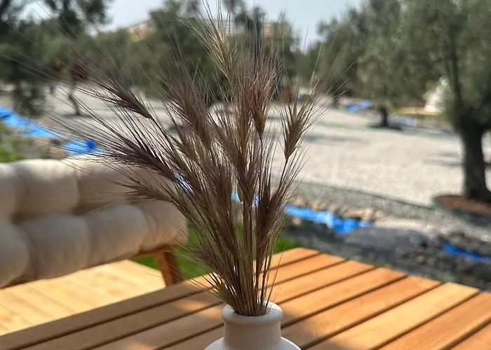 Elies Tiny Glamping Ayvalı