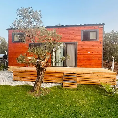 Готель Elies Tiny Glamping *