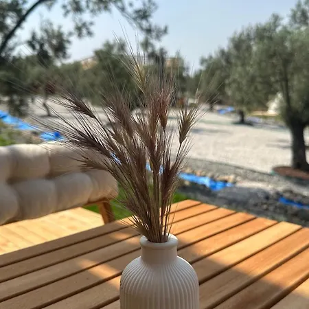 Elies Tiny Glamping Ayvalı