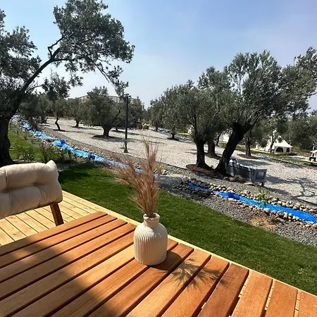 Otel Elies Tiny Glamping *