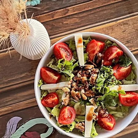 Otel Elies Tiny Glamping *